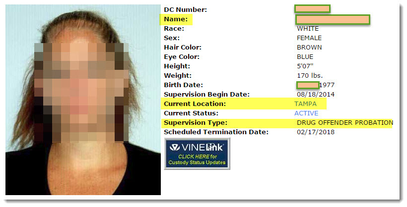 see-if-you-are-dating-a-convicted-felon-in-florida-who-is-on-supervised